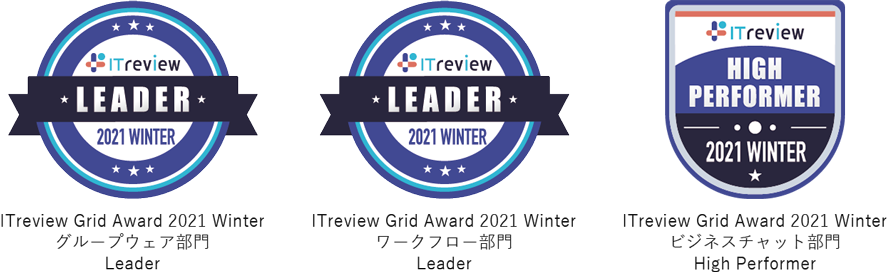 ITreview Grid Award 2021 Winter