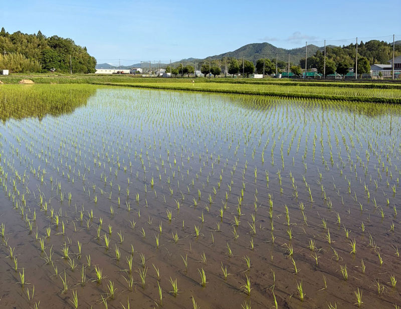 ネオジャパンFarm